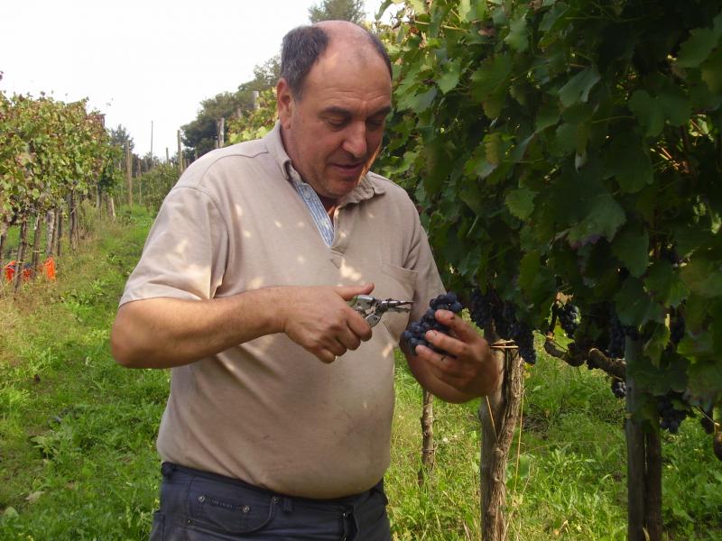 Al Campanaro e l'Irpinia